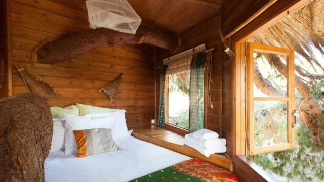Kotsifas Estate Treehouse