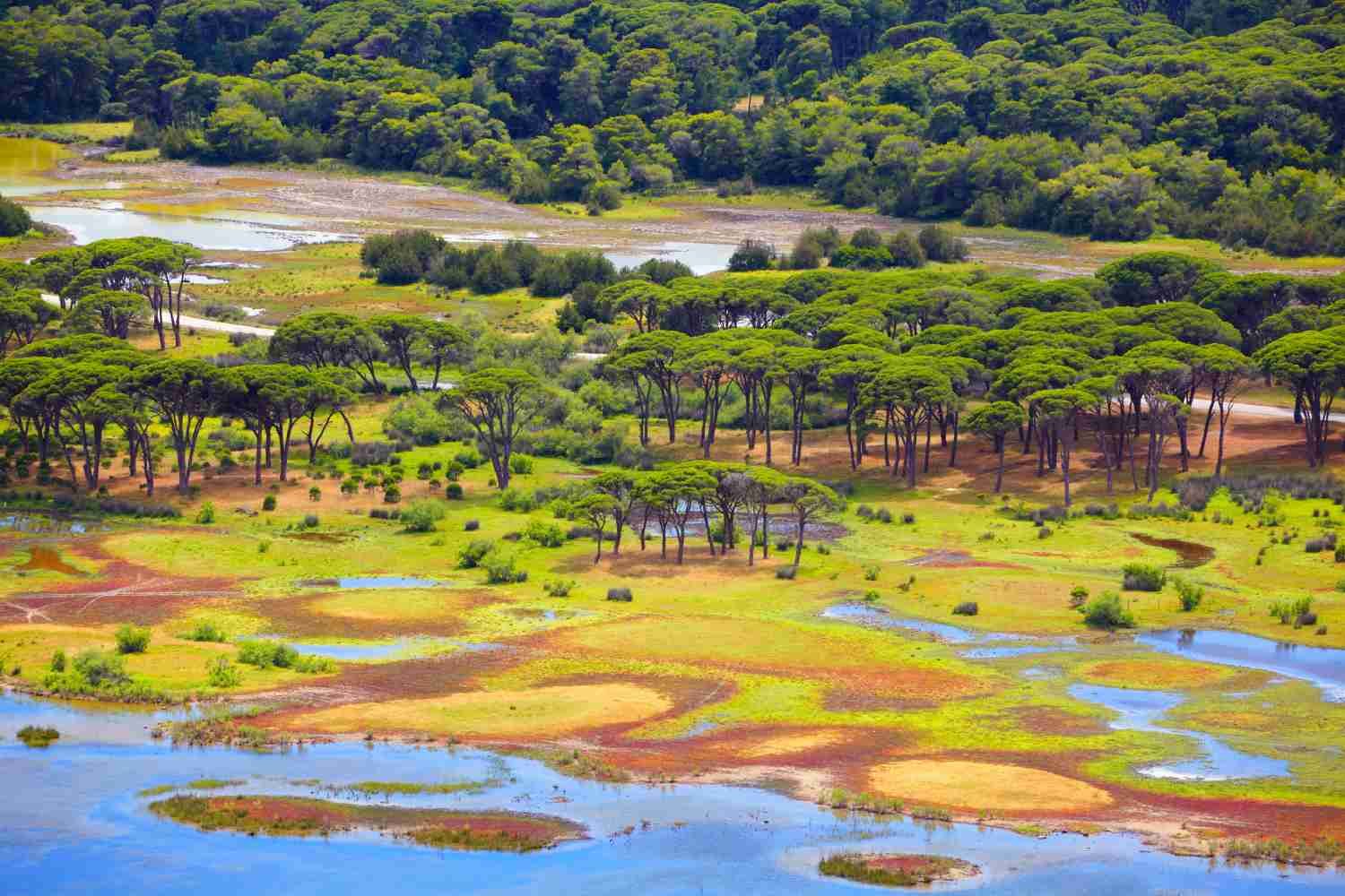 Strofylia forest and Prokopos Lagoon