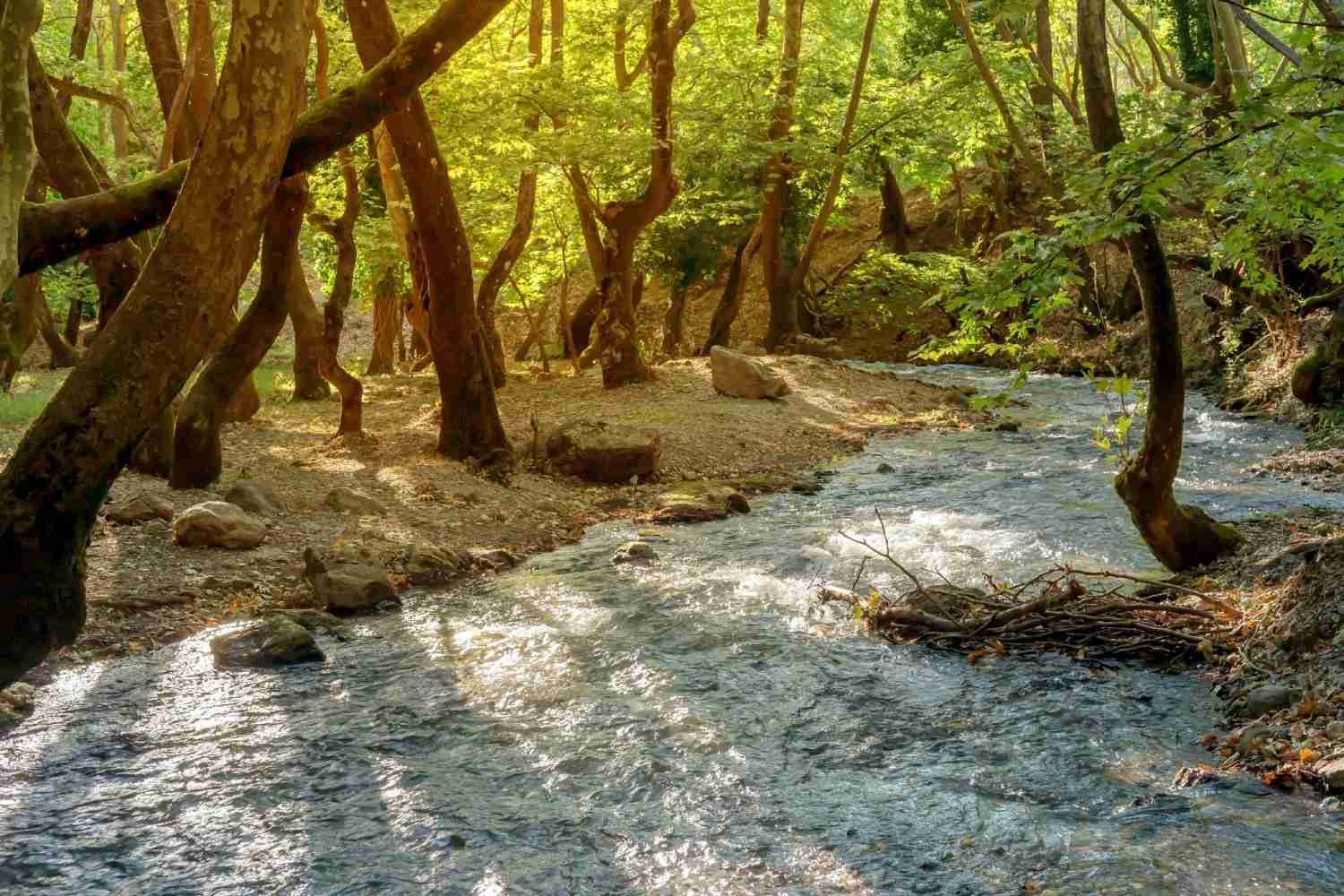 Planitero Achaia Peloponnese