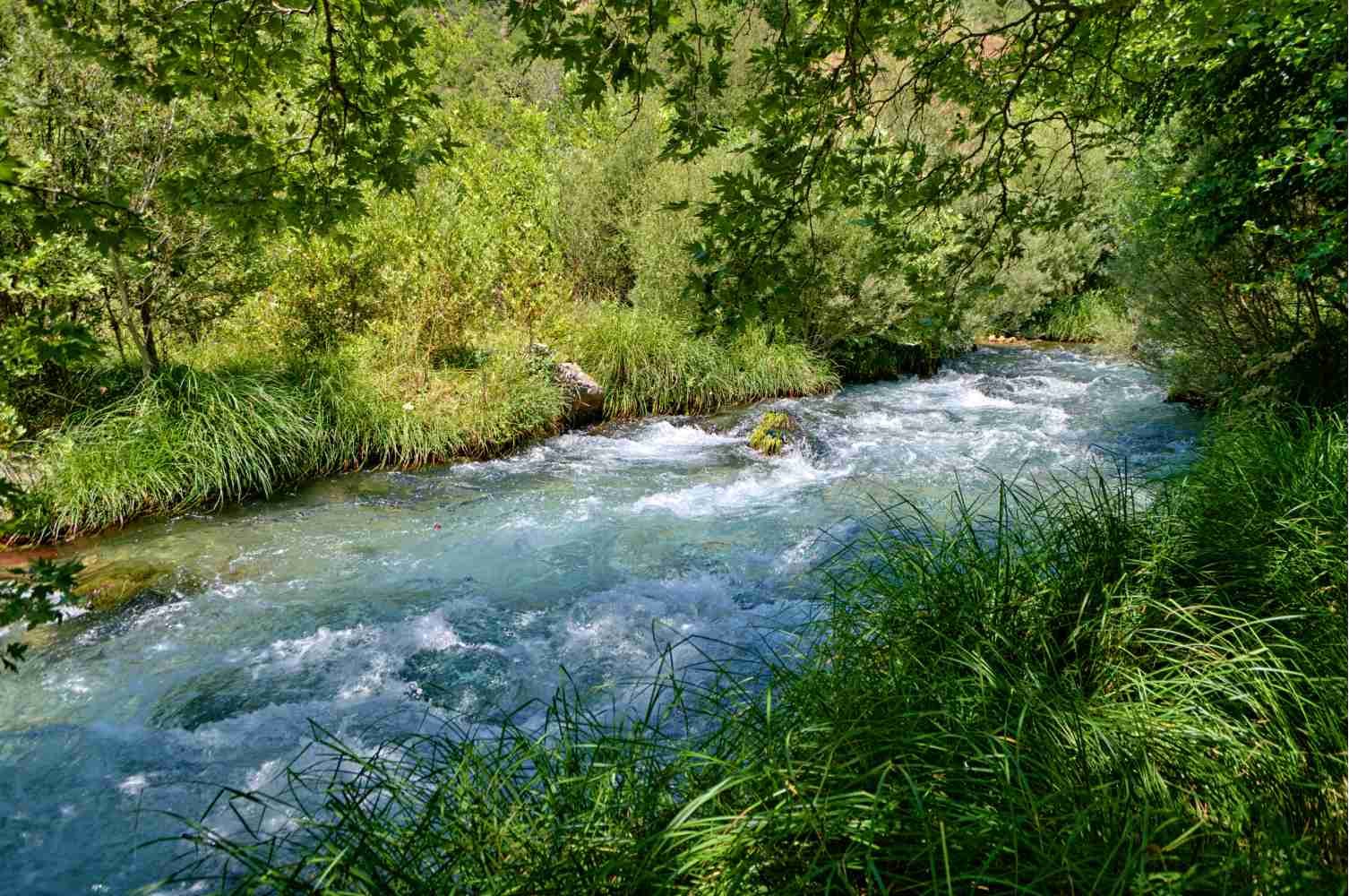 Lousios river Peloponnese