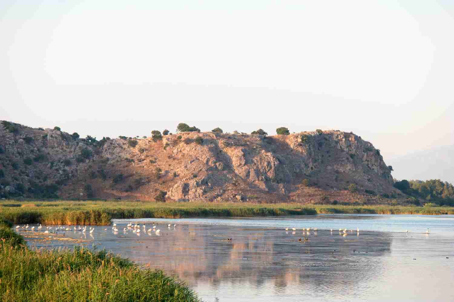 Prokopou lagoon Strofilia Peloponnese