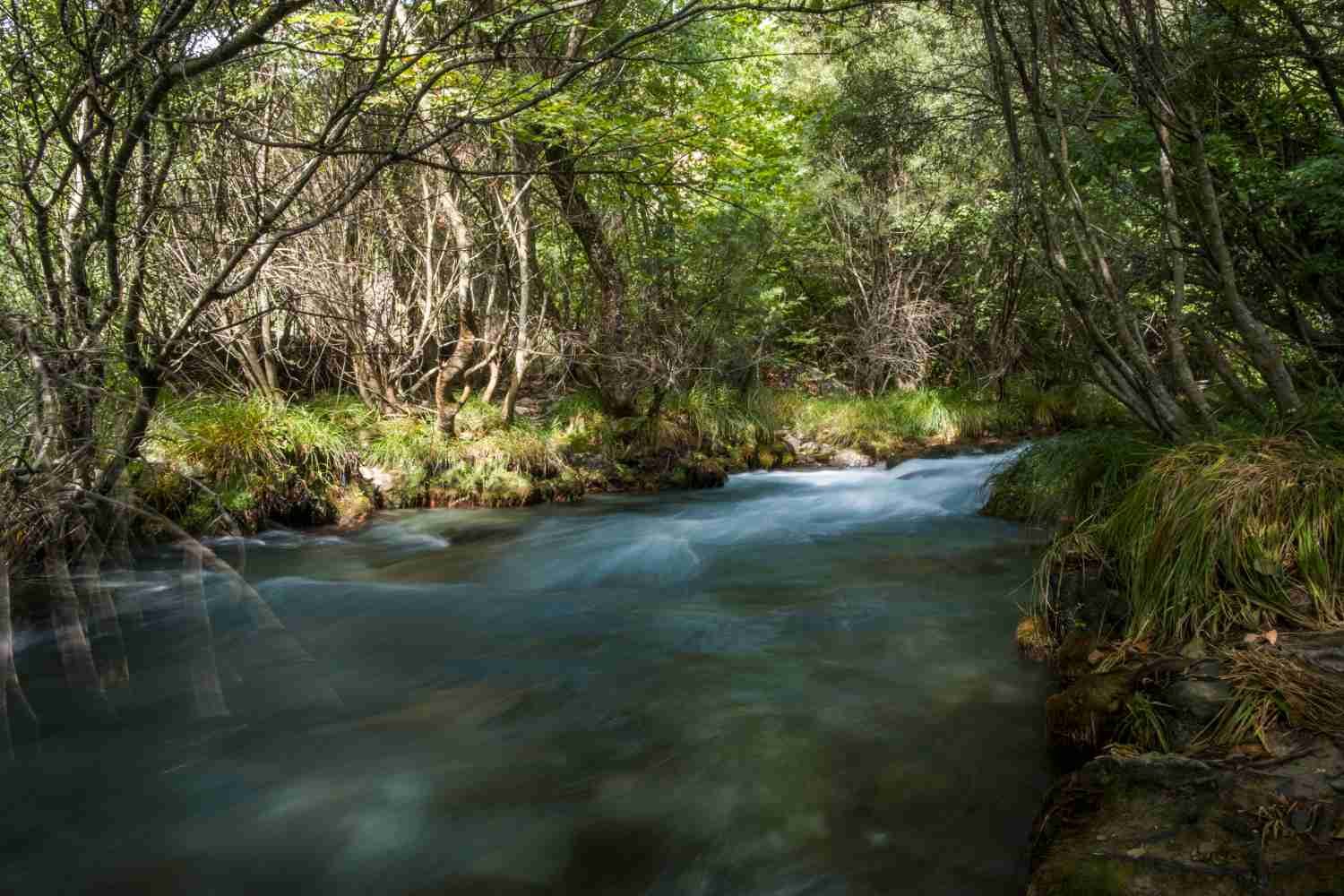Lousios river Arcadia Peloponnese