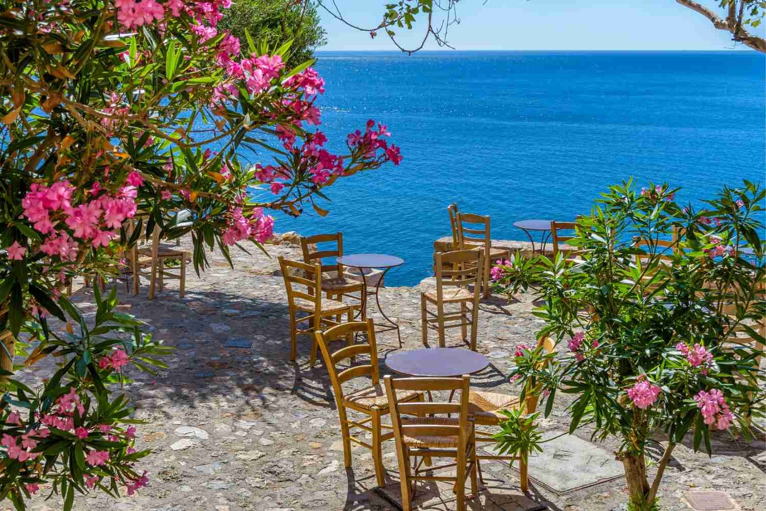Monemvasia flowers Peloponnese