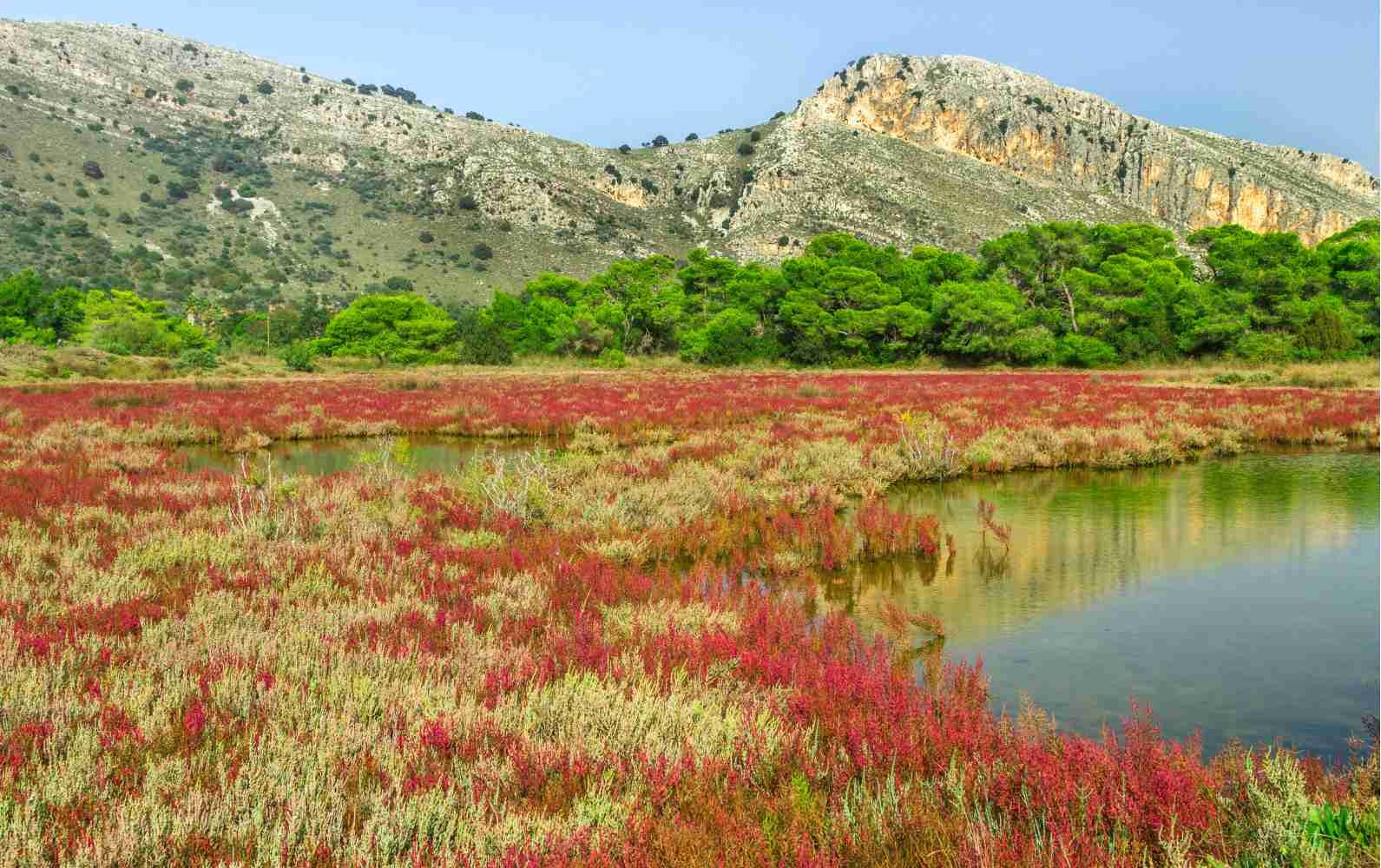 Strofylia Achaia Peloponnese