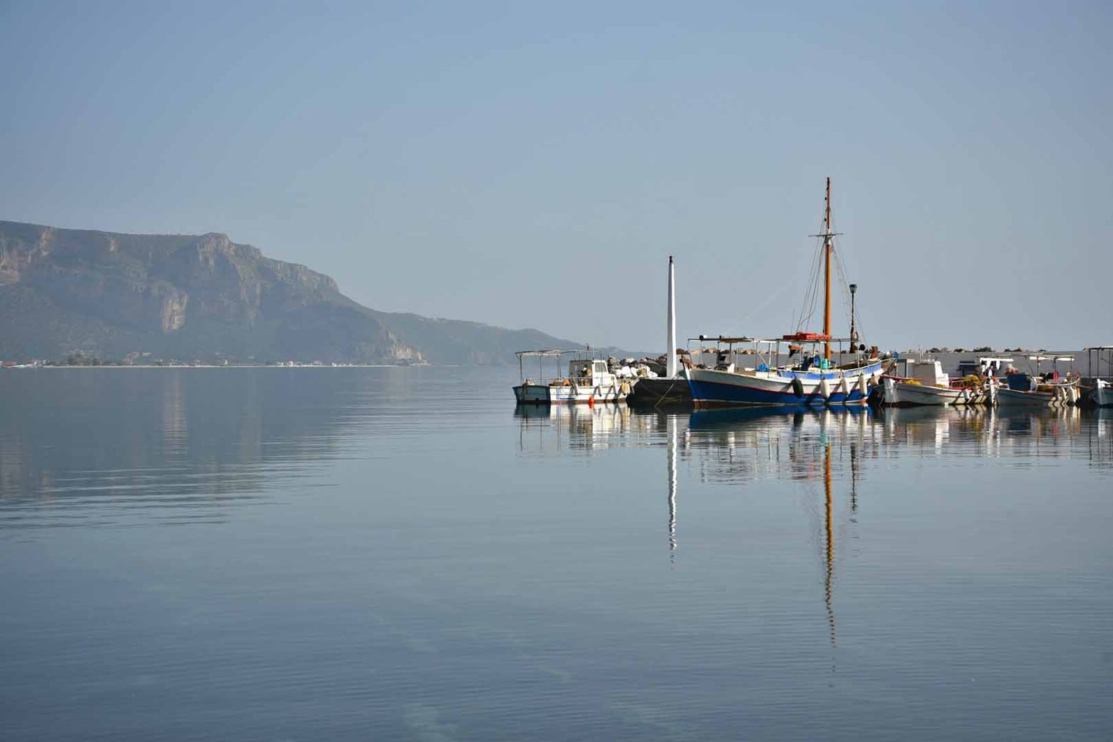 Poulithra
