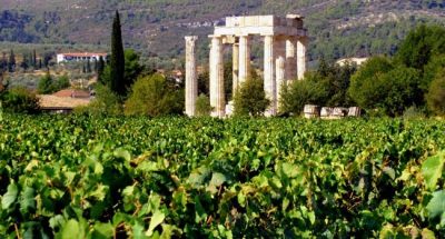 Organic Vineyards Papaioannou