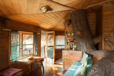 Kotsifas Estate Treehouse